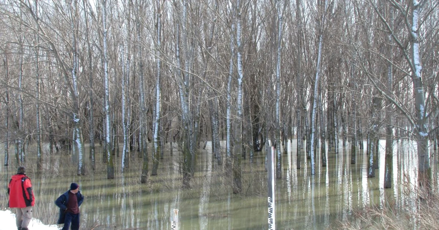 Lunca Dunării, deja sub apă 