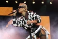 rita ora formula 1 profimedia (2) jpg