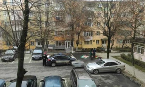 Vecinii au făcut poze de la balcon și au chemat Poliția  jpeg