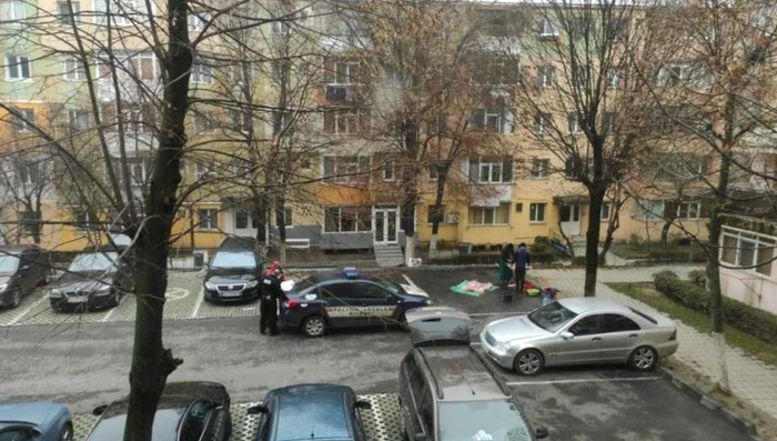 Vecinii au făcut poze de la balcon și au chemat Poliția 