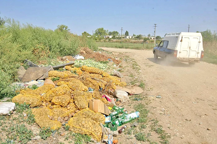 Cartofii şi pepenii de Lunguleţu putrezesc pe câmp. La Bucureşti, se vând cu peste 1 leu/kilogram