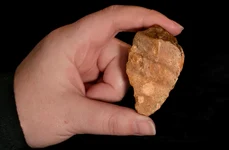 Unealtă din piatră descoperite pe insula indoneziană Sulawesi (© M.W. Moore / Live Science)