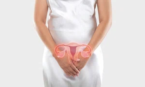 shutterstock 1827224507 jpg