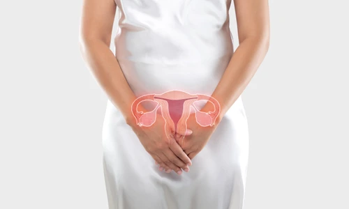 shutterstock 1827224507 jpg