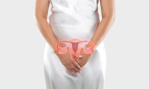 shutterstock 1827224507 jpg