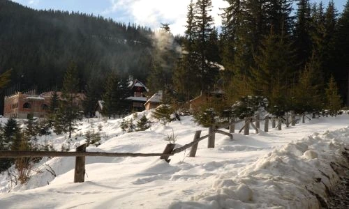 1 46923 original jpg jpeg