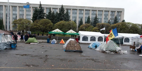 protest demnitate si adevar