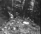 Sarmizegetusa Regia 1964  Foto Szabó Tamás, Muzeul Etnografic al Transilvaniei (21) jpg