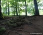 Cetatea dacică Piatra Roșie și valea Luncanilor Foto Daniel Guță ADEVĂRUL (3) JPG