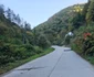 Traseul Mocănițelor Hunedoara Govajdia Foto Daniel Guță ADEVĂRUL (84) JPG