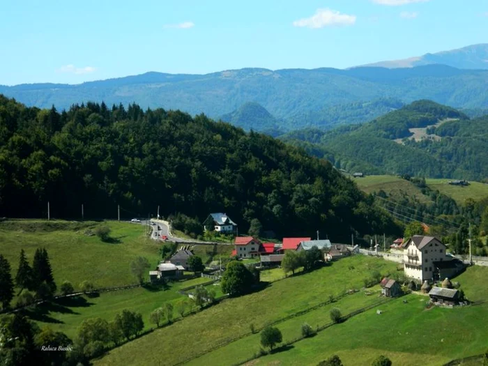 Liniştea de la Valea Urdii: