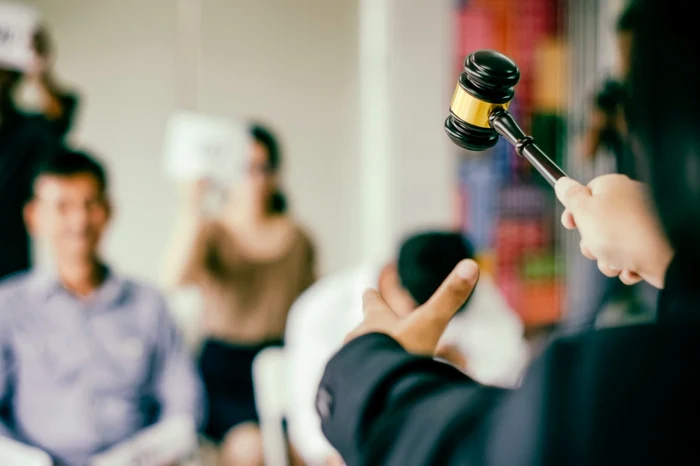Licitație artă. FOTO Shutterstock