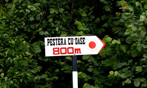 pestera cu oase maramures jpg