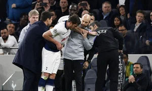 vertonghen lesin teren jpeg