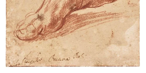 Michelangelo a schițat un picior cu cretă roșie ca pregătire pentru o frescă de pe tavanul Capelei Sixtine FOTO Cristies jpg