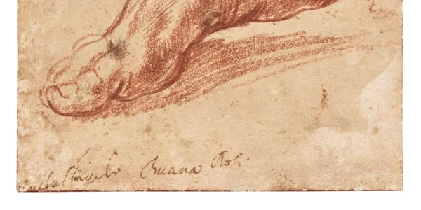 Michelangelo a schițat un picior cu cretă roșie ca pregătire pentru o frescă de pe tavanul Capelei Sixtine FOTO Cristies jpg