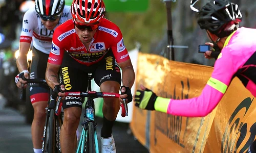 primoz roglic epa efe h 55447628 jpeg