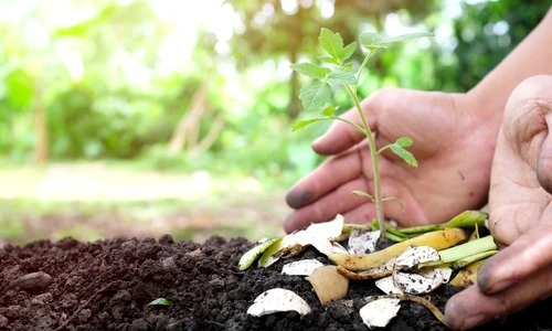 ingrasaman natural jpg