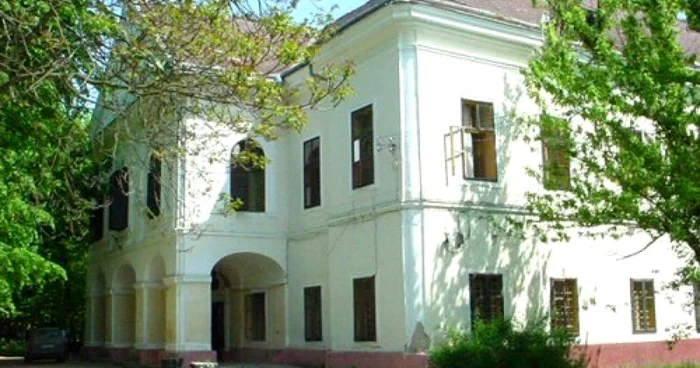 fatada castel