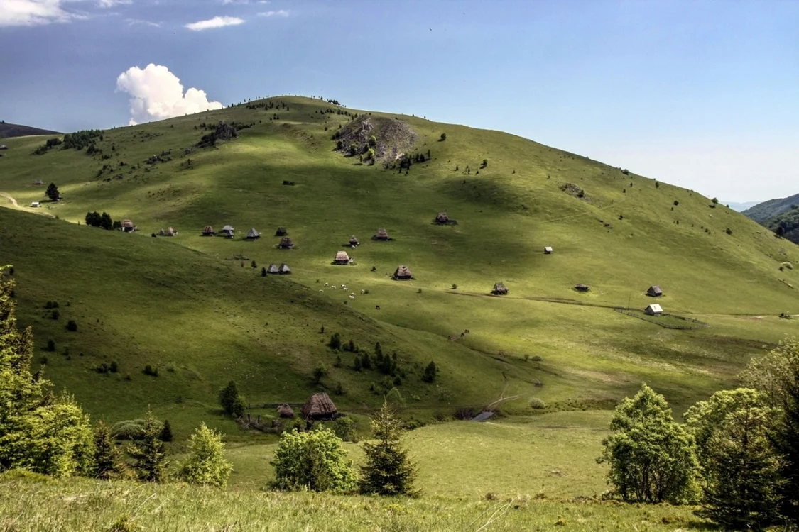 zapodie apuseni
