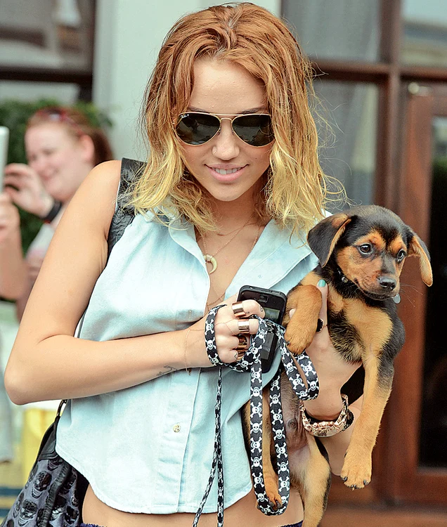 
    Miley Cyrus  