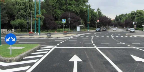 Michelangelo FOTO Ştefan Both