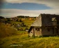 Plimbare de toamnă, prin Fundata și Moieciu de sus. FOTO Marius Popa
