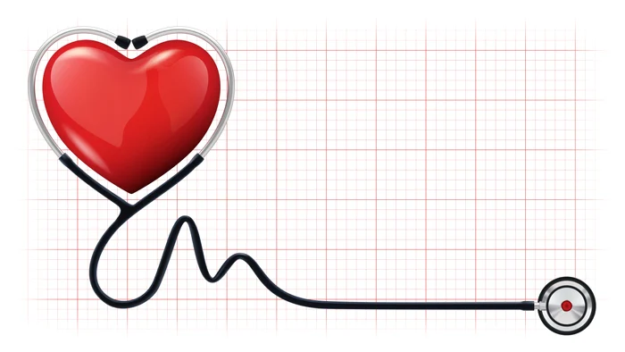 Parte a aparatului cardiovascular, inima are ca rol-cheie menținerea vieții