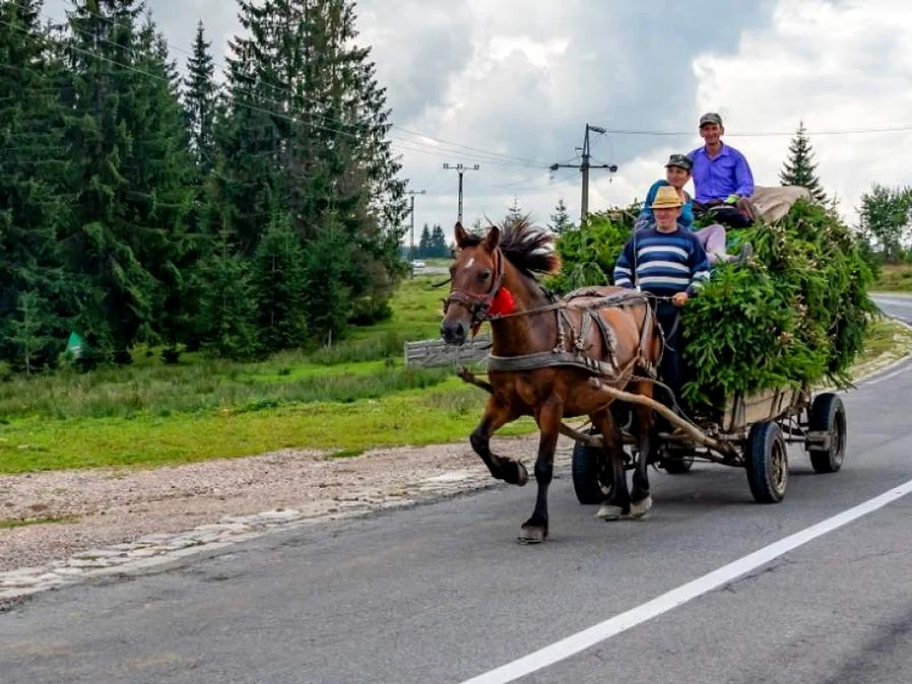 Scene incredibile într-un magazin din Suceava