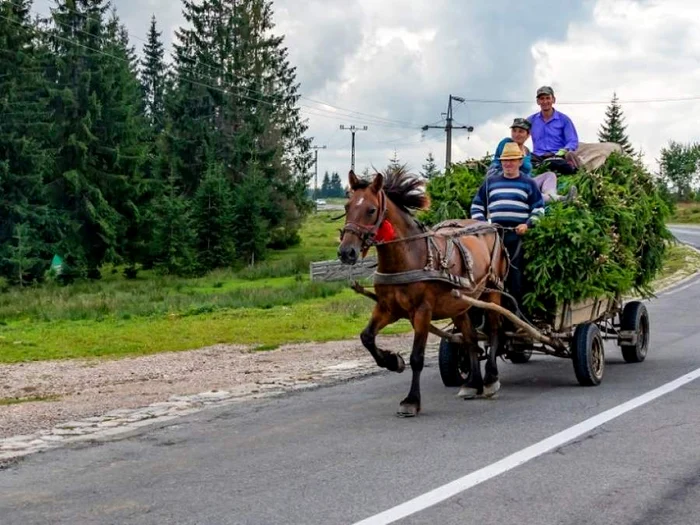 Scene incredibile într-un magazin din Suceava