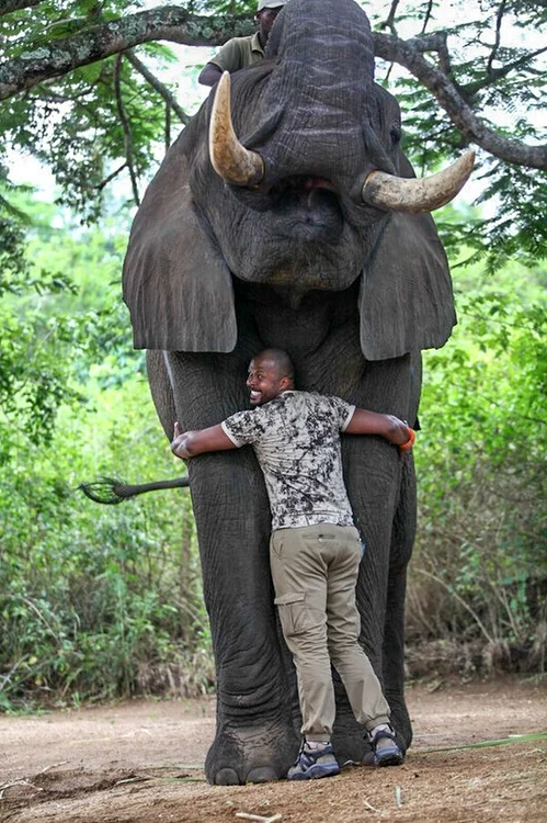 
    Cabral a îmbrăţişat un elefant africanFoto: arhiva personală  