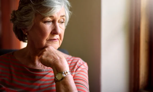 shutterstock 2473319351 jpg