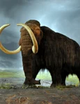 Un mamut lânos reconstituit în Muzeul Regal British Columbia din orașul canadian Victoria (© Flying Puffin / Wikimedia Commons)