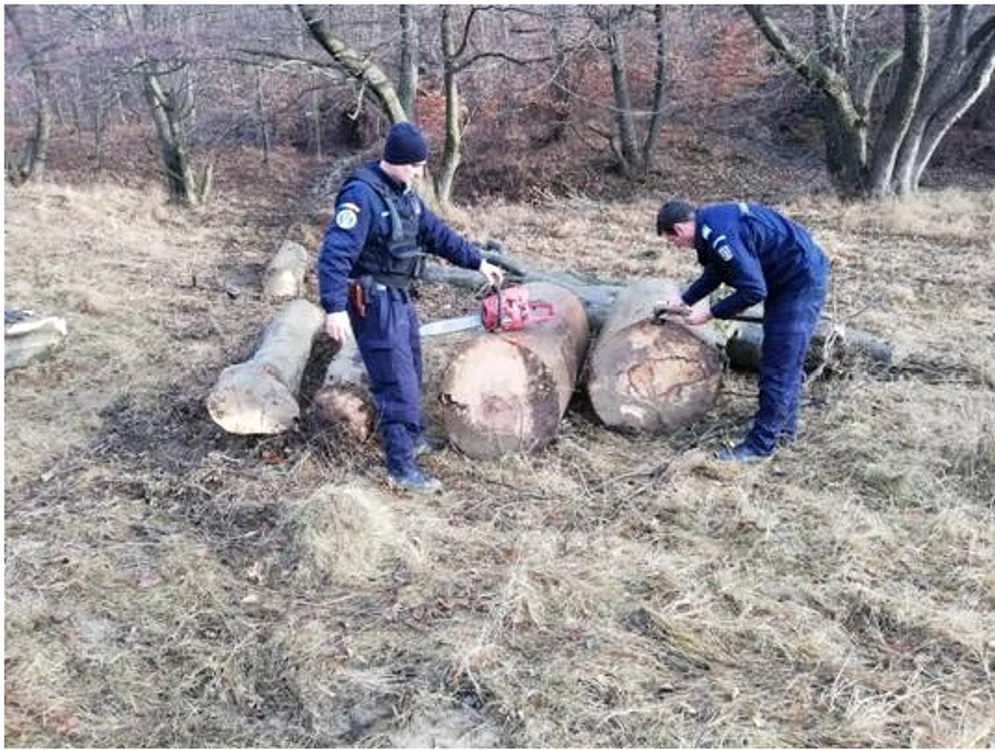 Cel mai probabil, pădurarul a fost atacat de hoţii de lemneFoto: arhivă personală