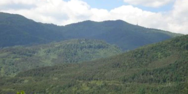 Suceava: Turişti căutaţi de jandarmi montani şi salvamontişti