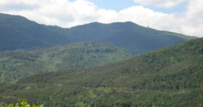 Suceava: Turişti căutaţi de jandarmi montani şi salvamontişti