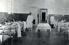 Epidemia de holeră de la Sulina din 1893: 2 000 de locuitori fug din oraș jpeg