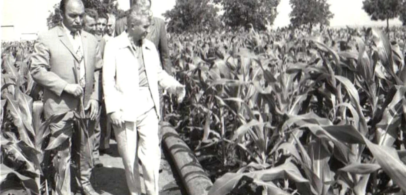 Vizita de lucru a lui Nicolae Ceauşescu la Întreprinderea agricolă de stat Amzacea - Constanţa (20.VI.1979) Cota 88/1979 Fototeca online a comunismului românesc