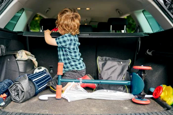 
    Foto: observatornews.ro  