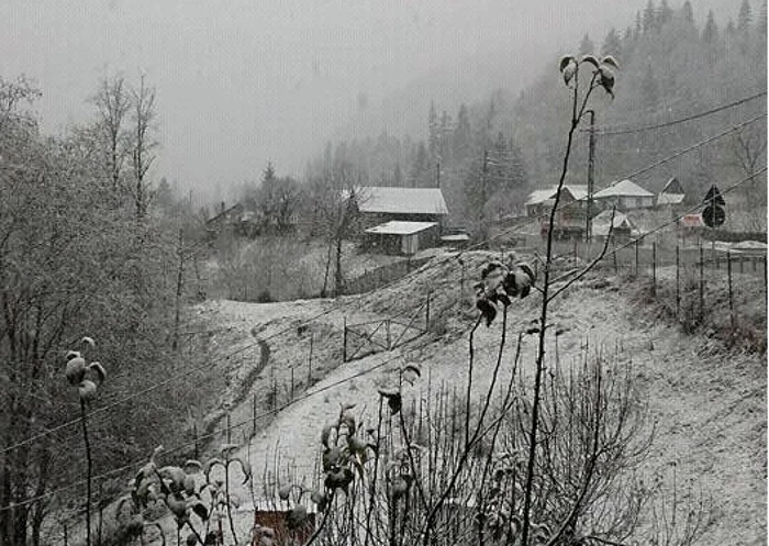 La Greşu ninge de azi noapte FOTO: Gazeta de Tulnici