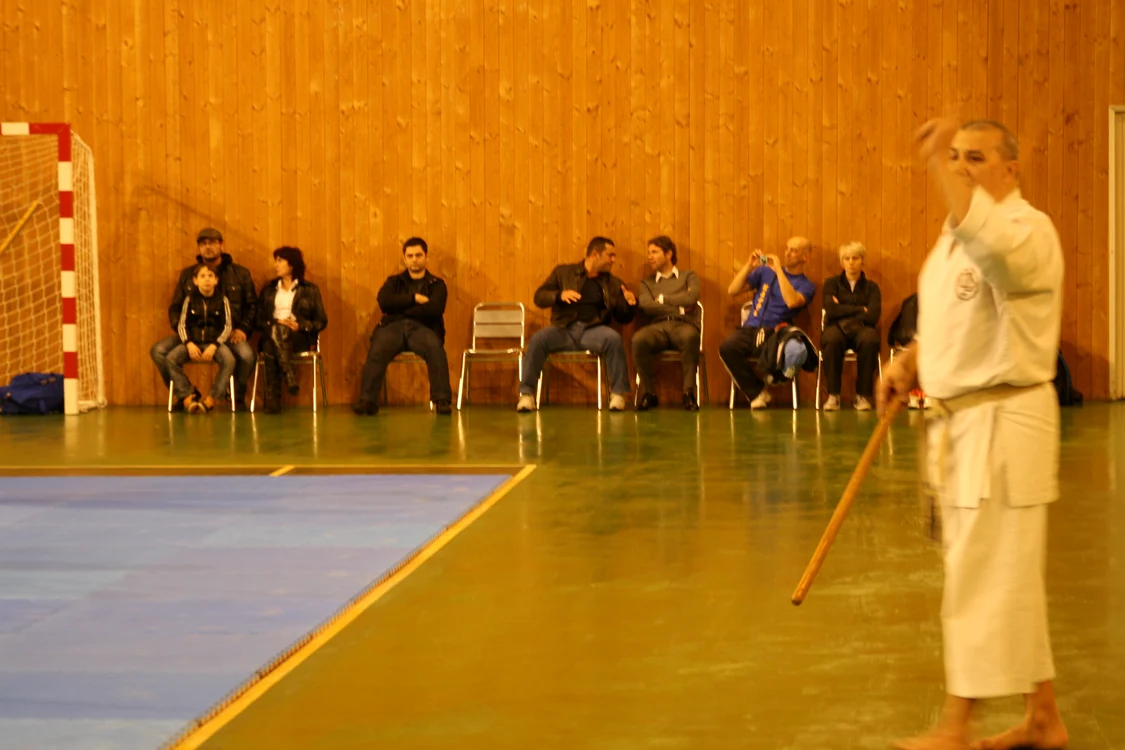 arte martiale 3