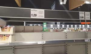 88031311 2784257621657104 1965705831575977984 n jpeg