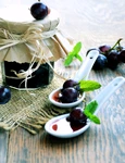 Gem de struguri negri  Sursa foto shutterstock 307311905 jpg