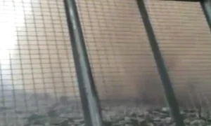 CLIIMA20140602 0241 1 jpeg