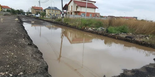 Imagini de Evul Mediu în Constanţa - cartierul Veterani Km 4-5 Foto S.I.