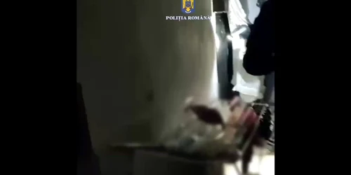 WhatsApp Video 2025 08 20 at 13 25 42 mp4 thumbnail png