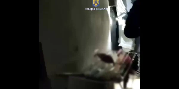 WhatsApp Video 2025 08 20 at 13 25 42 mp4 thumbnail png
