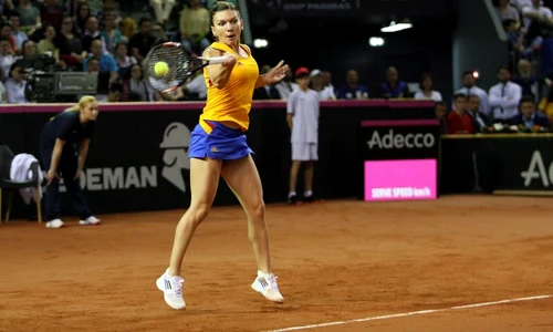 tenis halep petkovci fedcup romania germania 54 sport pictures jpeg