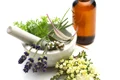 plante detoxifiere jpg