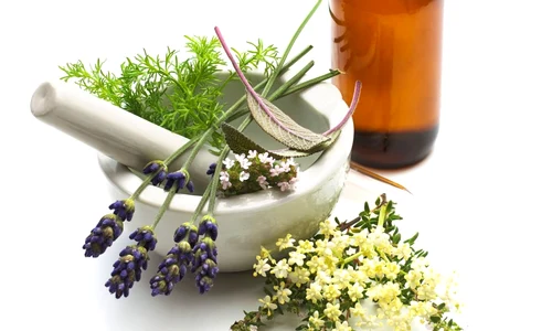 plante detoxifiere jpg